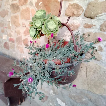 Willa Terrazza Sul Chianti