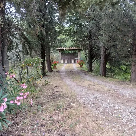 Terrazza Sul Chianti
